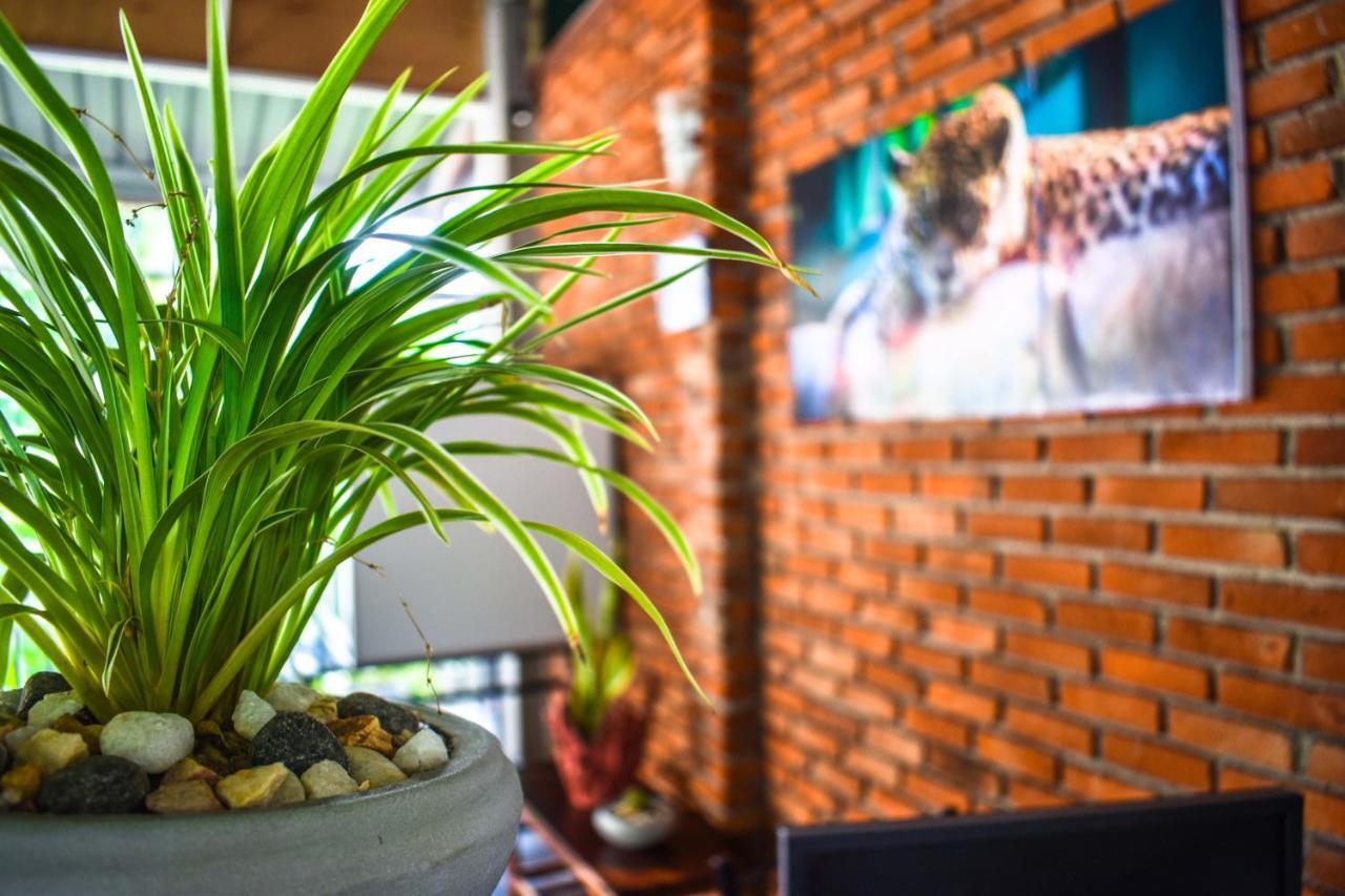 Myr-O Homestay Kombichankulama エクステリア 写真